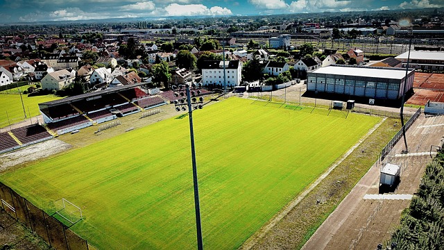 我们最大的 我们最大的