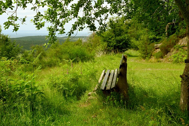 以获取更多 以获取更多